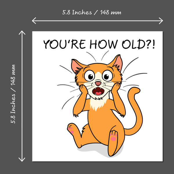 Funny Cat 40th 50th 60th 70th Birthday Card for Men Women Him Her Humo ...