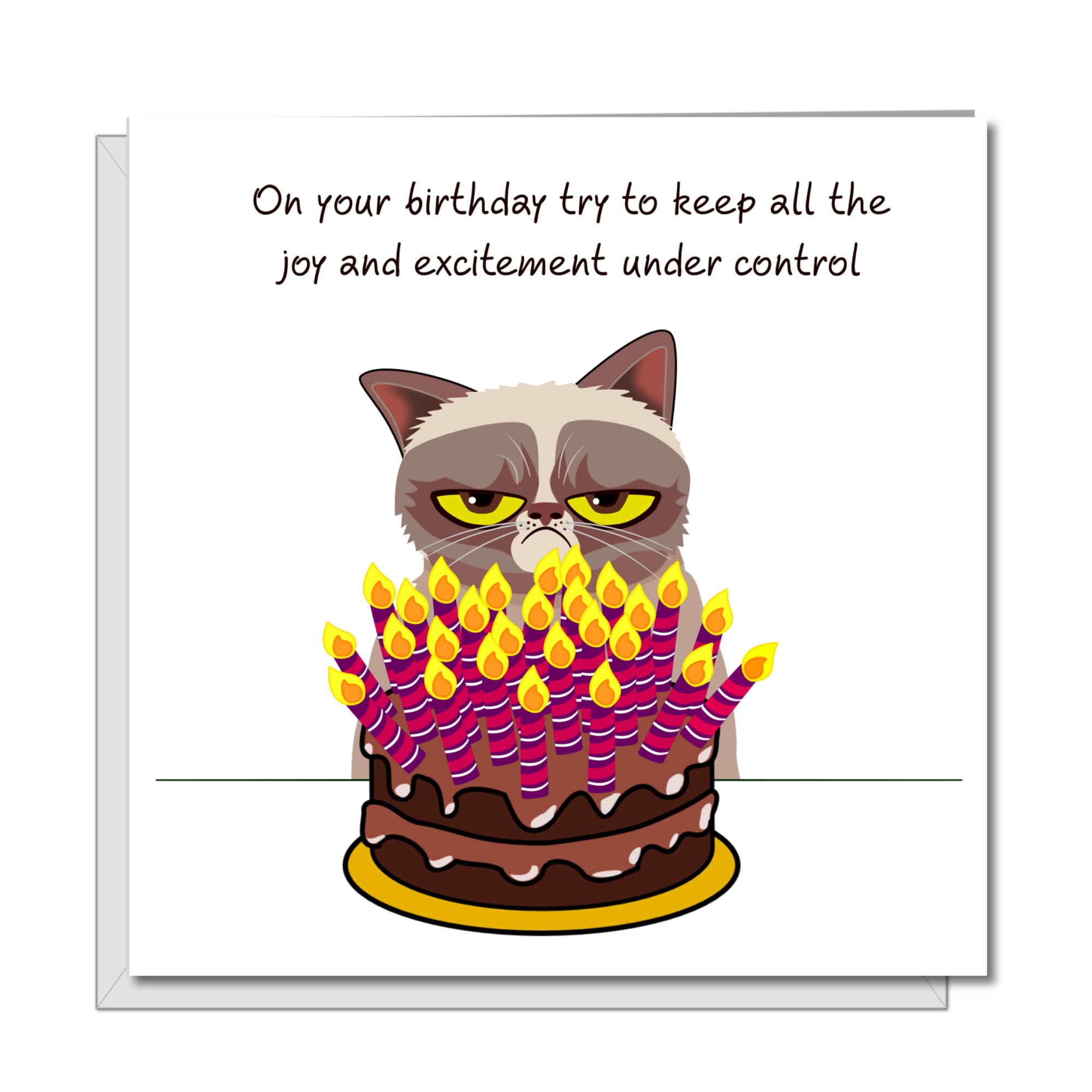 happy birthday cat funny cake